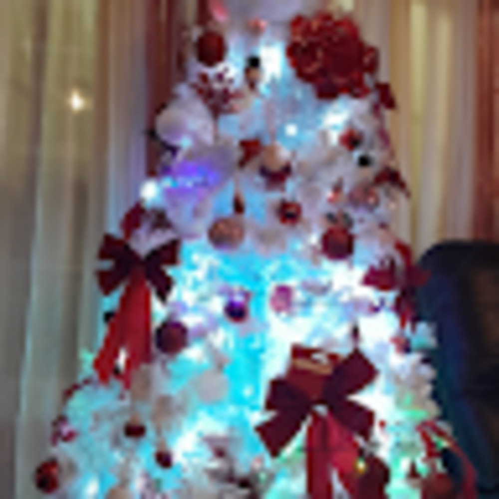 Meet your Posher, Ricardo